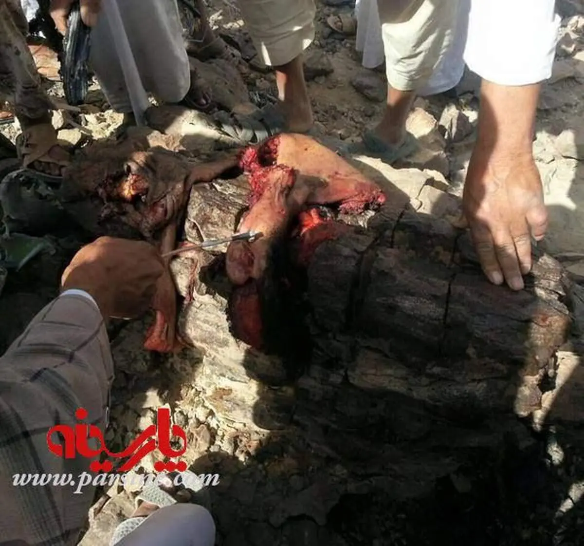 عکس:باقی مانده جنازه خلبان مغربی بعد از سقوط(+18)