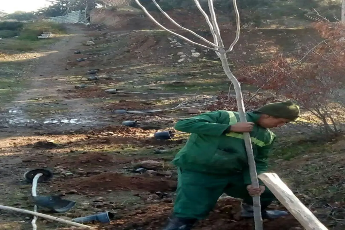 اجرای طرح " باغ راه "در بوستان جنگلی سرخه حصار