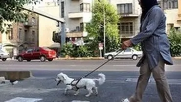 سگ‌گردان‌ها در اماکن عمومی بازداشت می‌شوند