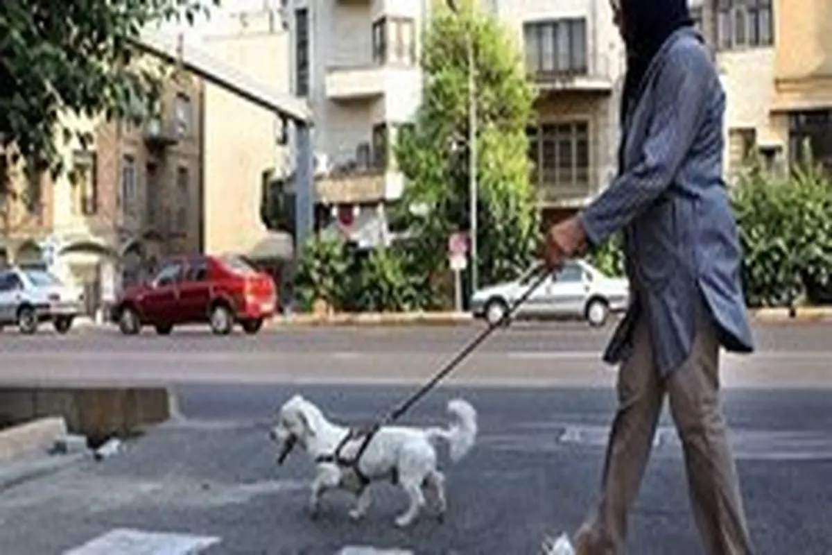 سگ‌گردان‌ها در اماکن عمومی بازداشت می‌شوند