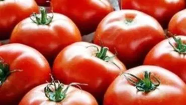 صادرات گوجه فرنگی آزاد، تخم مرغ ممنوع شد