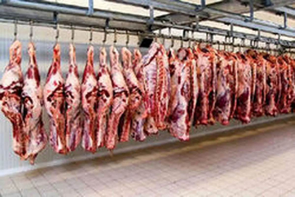 دلایل افزایش قیمت گوشت چیست؟