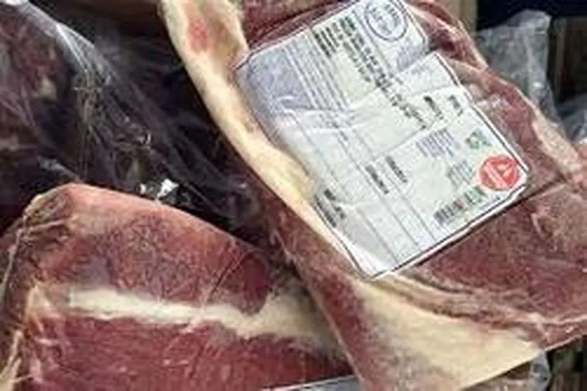 برخورد با عوامل انتشار خبر کذب فروش گوشت سگ در مشهد