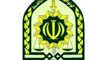 توضیحاتی درباره حمله دو سگ به یک کودک