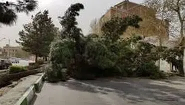 طوفان برق ۵ هزار مشترک کاشمری را قطع کرد