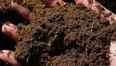 انتقال خاک به خارج از کشور ممنوع است