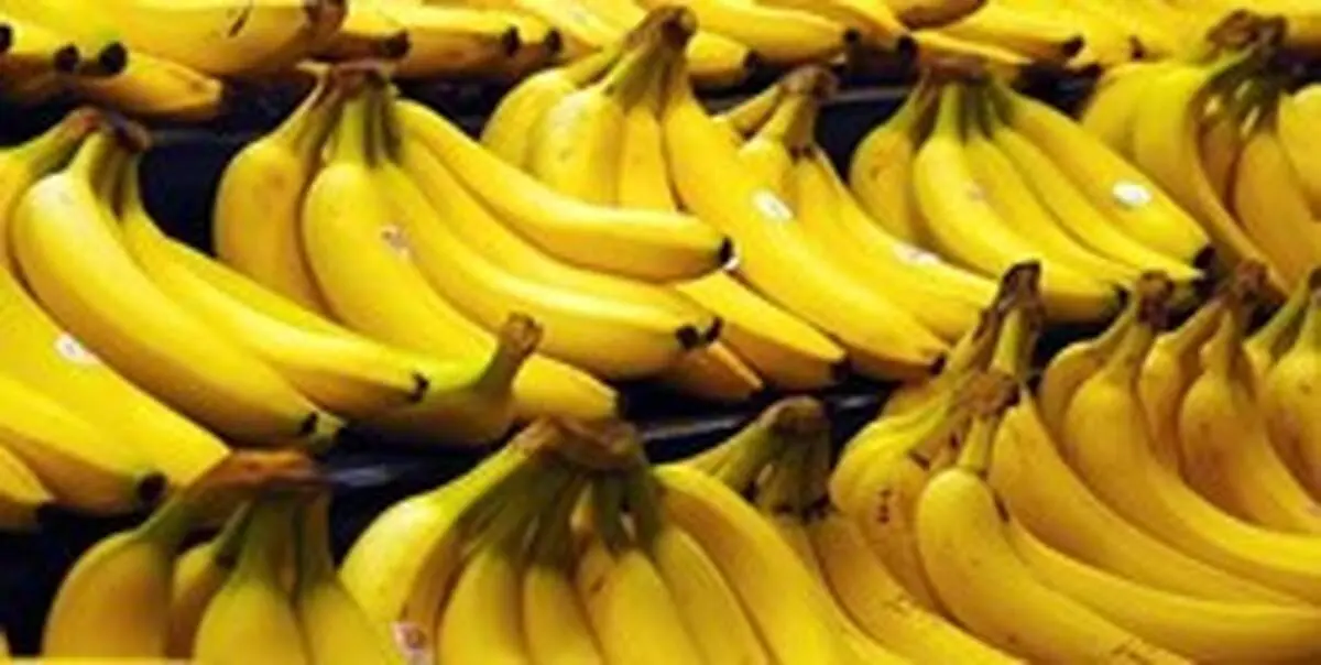 کاهش تهوع دوران بارداری با خوردن موز