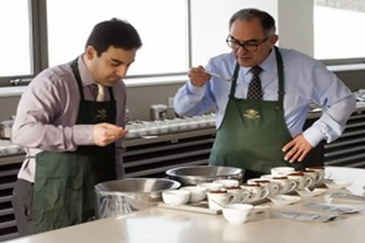 قدیمی بودن بوته بزرگترین گرفتاری صنعت چای ایران است