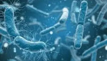 تولید برق از باکتری‌ها!