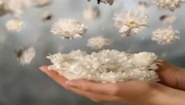 این افراد همواره از آسایش و خیر و برکت در زندگی برخوردارند