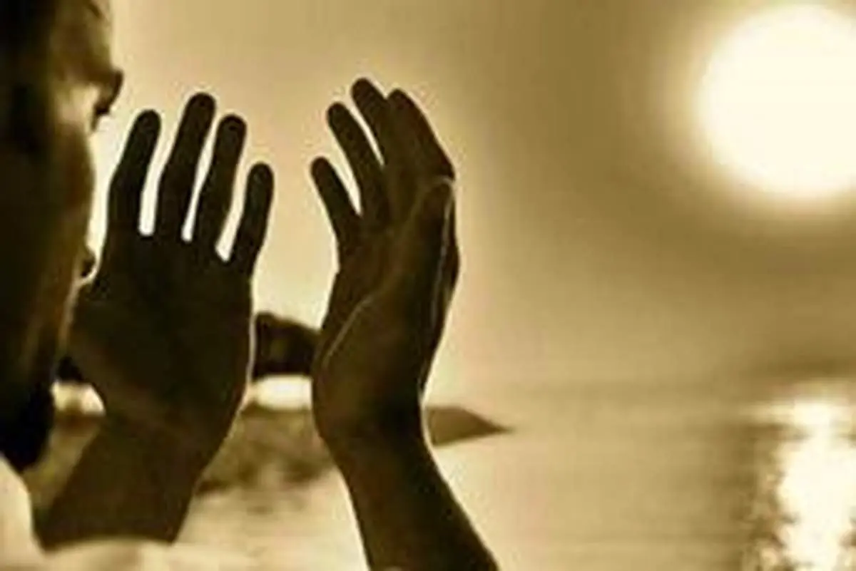 چند دعا برای دفع حشرات موذی
