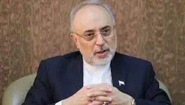 صالحی: رهبری اجازه توقف صنعت هسته‌ای را ندادند