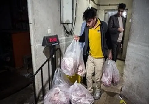 آغاز توزیع گوشت تنظیم بازار در تهران و البرز؛ قیمت مشخص شد
