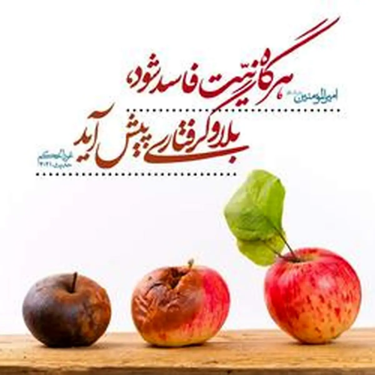 کاری که به فرموده امام علی(ع) شما را دچار بلا و گرفتارى می کند