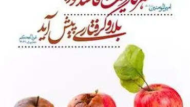 کاری که به فرموده امام علی(ع) شما را دچار بلا و گرفتارى می کند