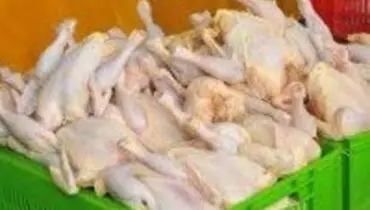 پرواز مرغ از سقف ۱۵ هزار تومانی