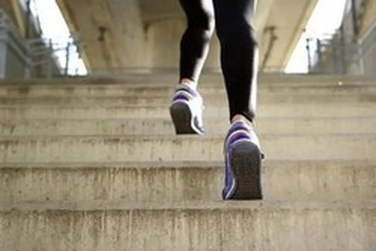 «پله نوردی» بهترین راه کاهش وزن