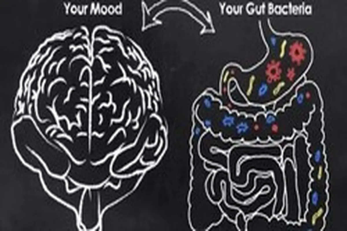 شناسایی باکتری افسردگی در روده