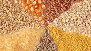 واکنش وزارت جهاد به گرانفروشی نهاده ها