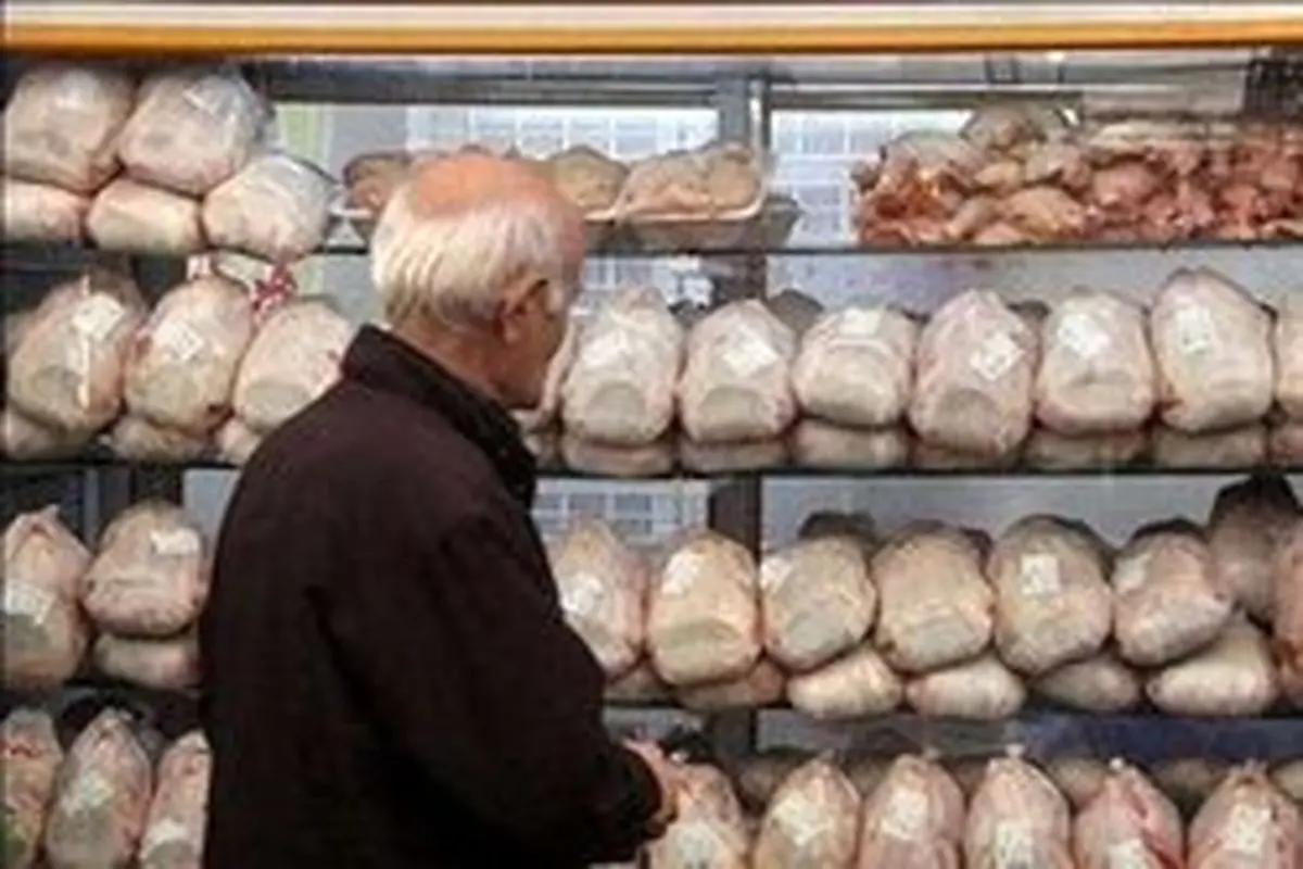 مرغ ارزان میشود