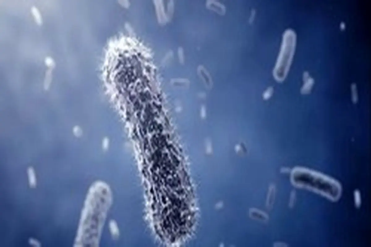 شناسایی باکتری‌هایی که آنتی بیوتیک‌ها را خنثی می‌کنند