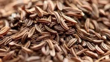 عوارض مصرف زیاد زیره را بدانید و جدی بگیرید