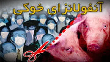 مشاهده آنفلوانزای خوکی در ایران