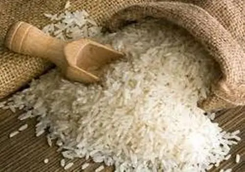 رونمایی از آشپزهای شگفت‌انگیز و تمام اتوماتیک!+ فیلم