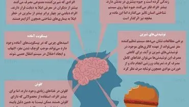 غذاهای مضر برای مغز کدامند؟