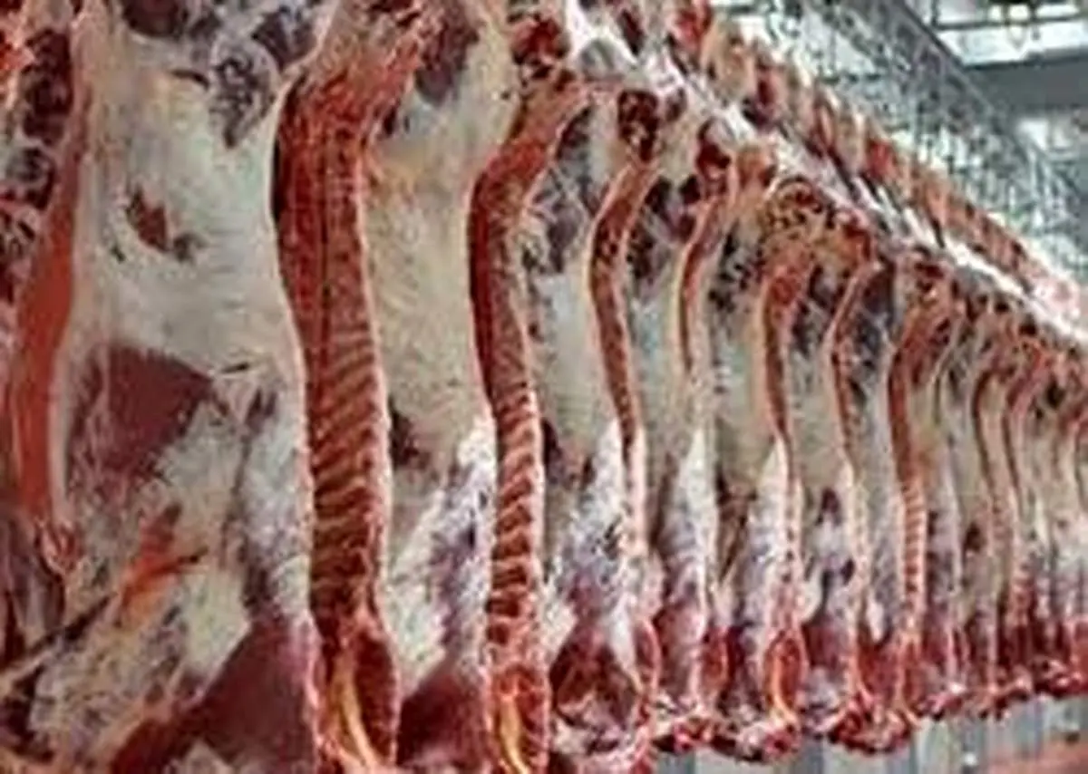 اقدام جدید برای مدیریت بازار گوشت