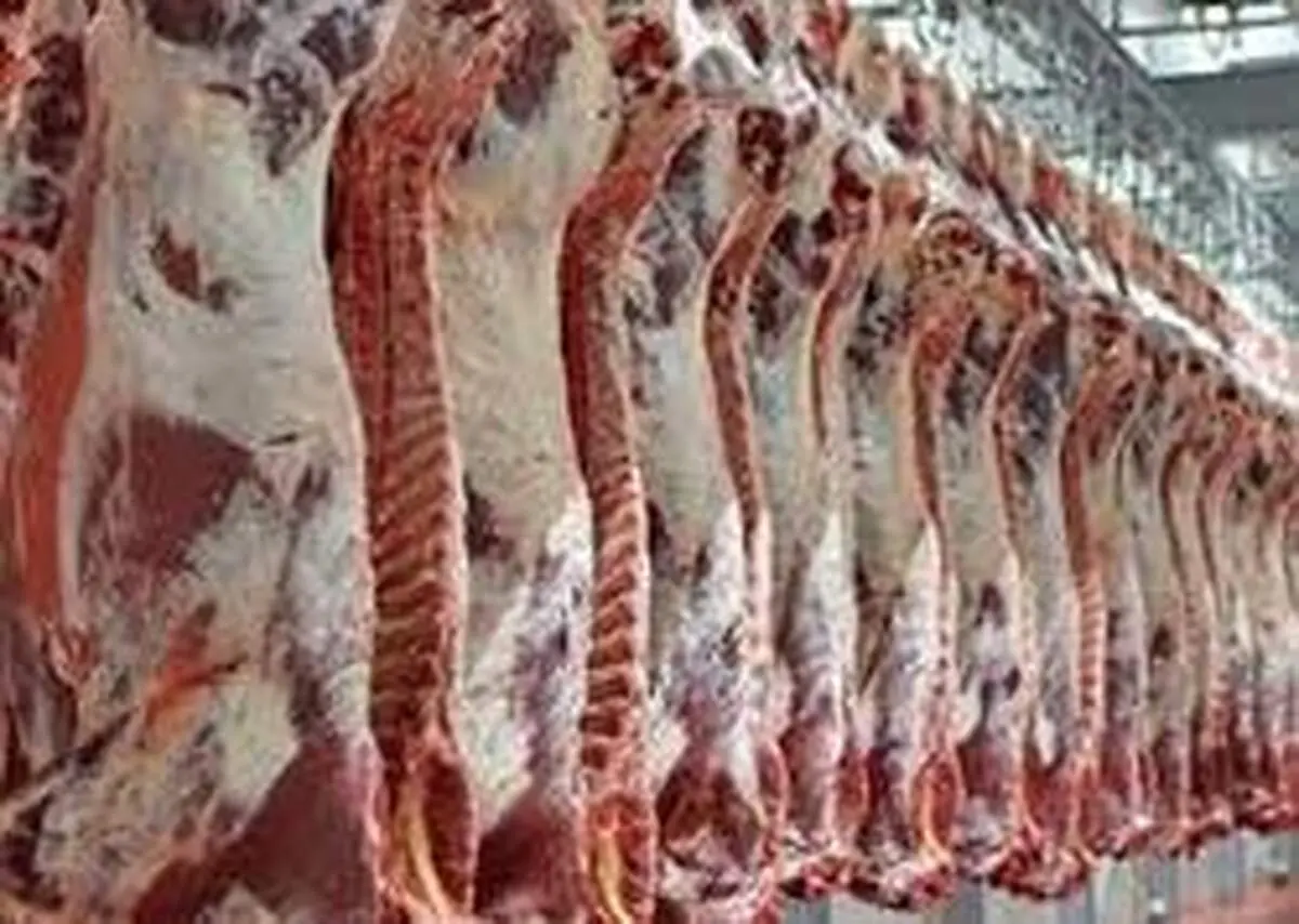 اقدام جدید برای مدیریت بازار گوشت
