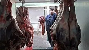 گوشت تنظیم بازاری به اینترنت نرسید