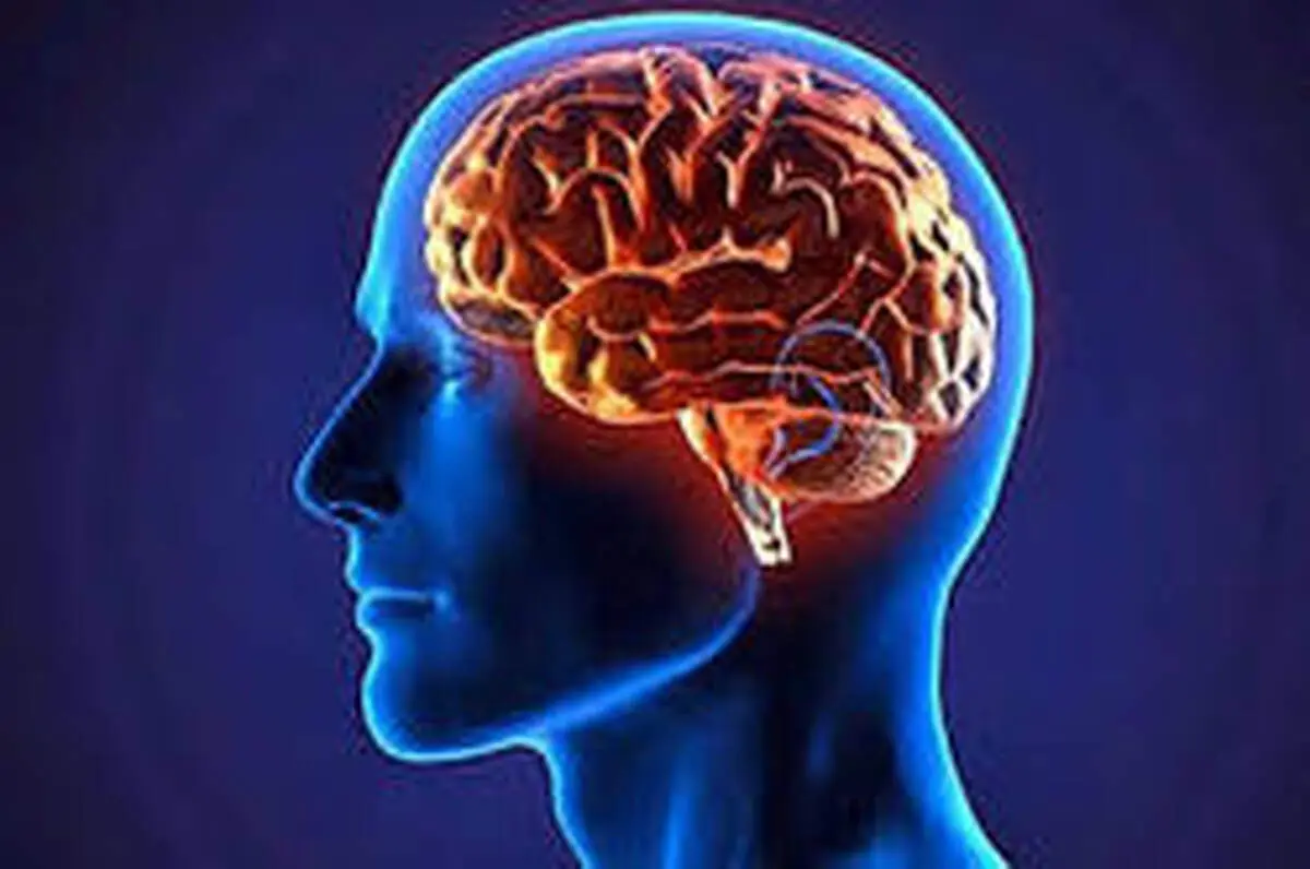 واقعیات جالب درباره آنچه در سرِ ما وجود دارد!