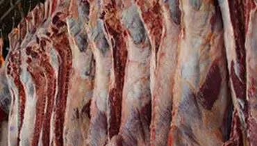 نگران نباشید، قیمت گوشت و مرغ به زودی می‌شکند
