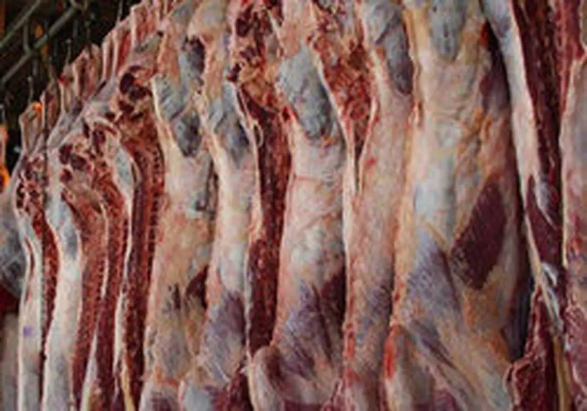 نگران نباشید، قیمت گوشت و مرغ به زودی می‌شکند