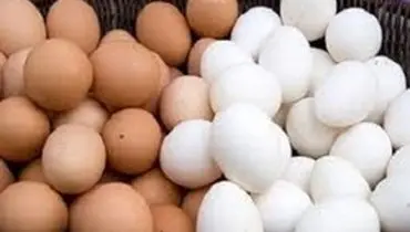 قیمت هرشانه تخم مرغ در خرده فروشی‌ها ۱۴ هزار تومان است
