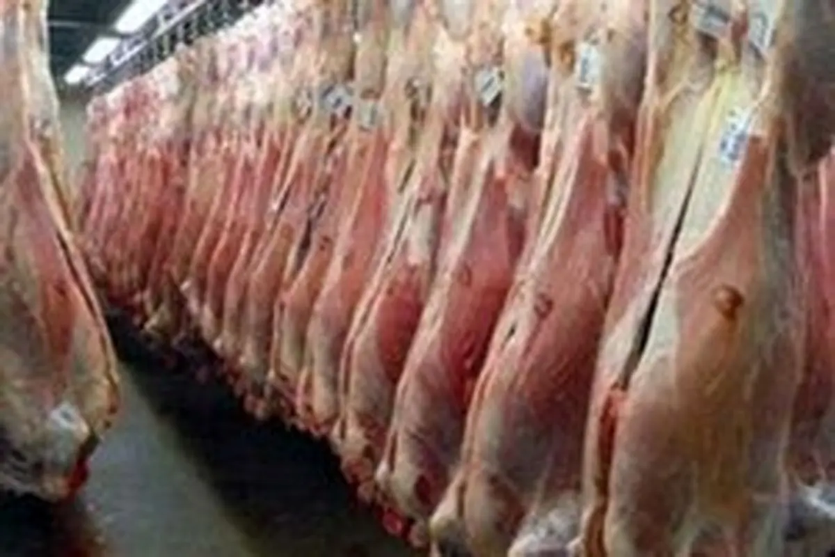 راهکار دولت برای کاهش قیمت گوشت