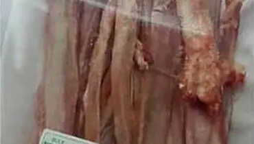برخورد با عرضه‌کننده متخلف گوشت گوسفندی