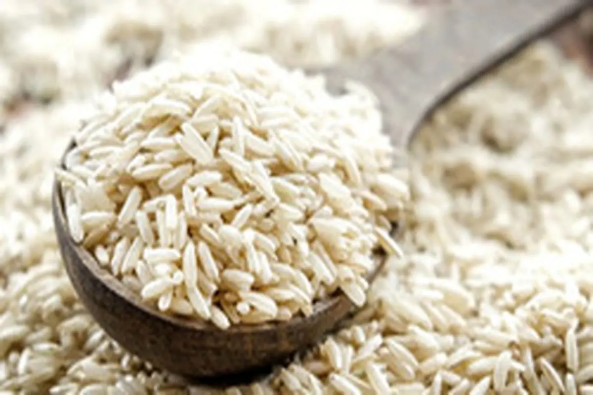 روش‌های از بین بردن شپشک برنج
