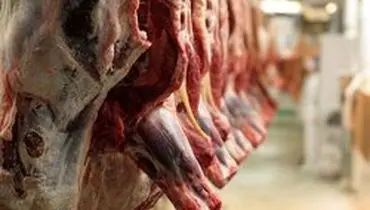 کشف ۸ تن گوشت منجمد احتکاری در تهران