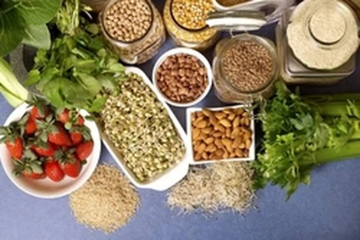 دانستنی‌هایی درباره انواع فیبر