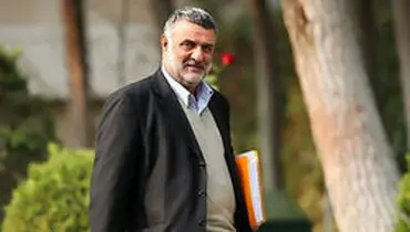 حجتی: گوشت قرمز به صورت هدفمند توزیع خواهد شد