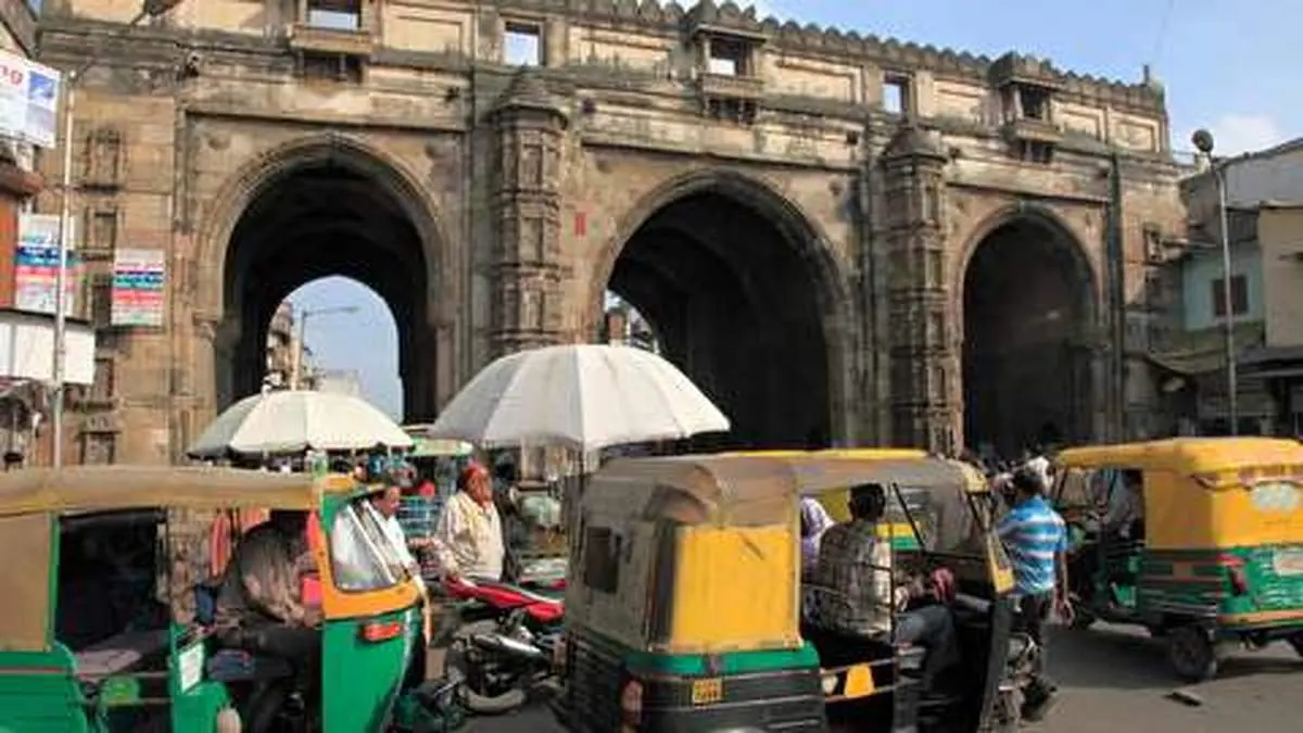 ویدیو| سقوط مرگبار درخت در هند