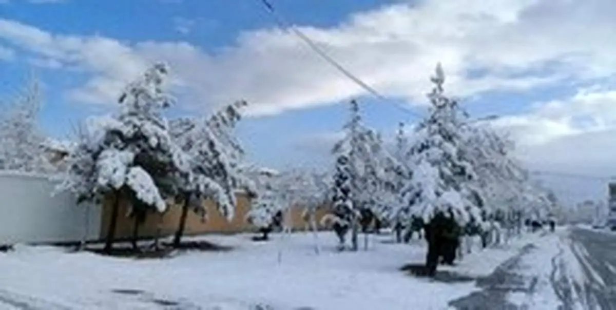 موج جدید برف و باران در کشور از جمعه