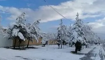 موج جدید برف و باران در کشور از جمعه‌
