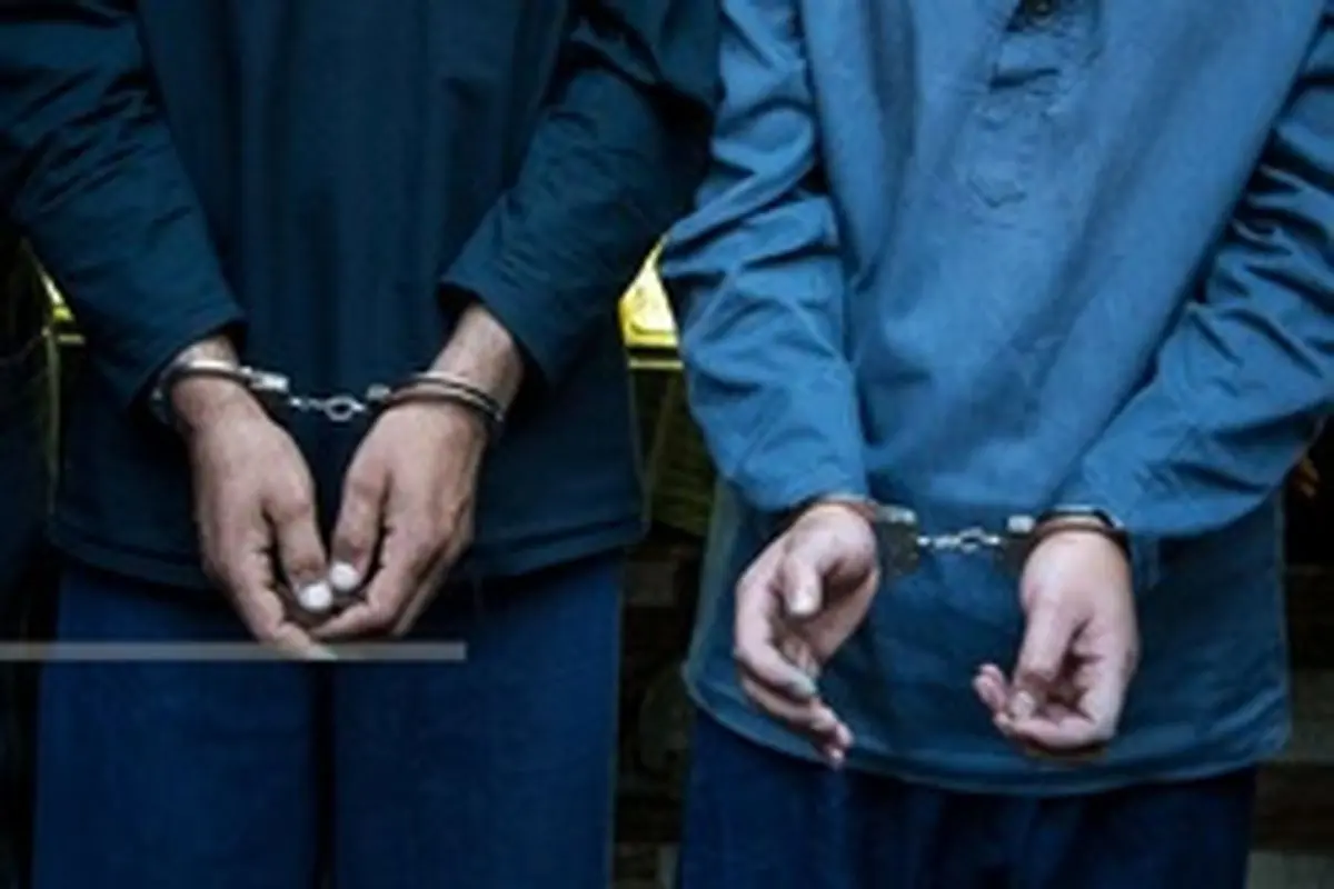همدستی دوبرادر افغانستانی در سرقت از ۷۰ خانه