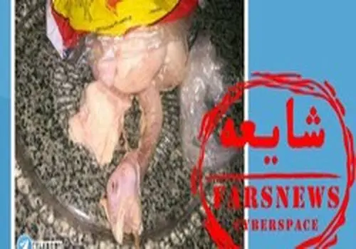 نامزدی رسمی آلو سیرش با نایانیکا؛ چهره‌ای که بالاخره دیده شد
