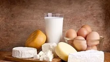 مواد پروبیوتیک چه خواصی دارند؟