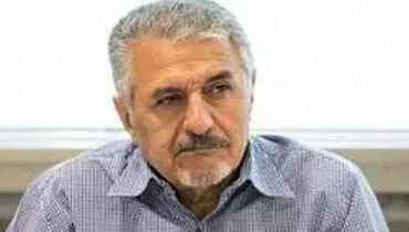 صفایی‌فراهانی: کسانی که پلاکارد بلند می‌کنند، درباره پول‌شویی نمی‌دانند