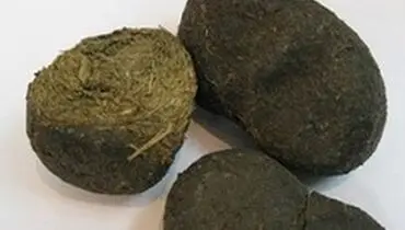 عنبر نسارا چیست و چه کاربردی دارد؟
